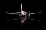 SQ Wings L2349 Japan Transocean Air Boeing 737-800 JA06RK Sakura Jinbei 1:200, image 10