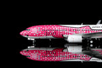 SQ Wings L2349 Japan Transocean Air Boeing 737-800 JA06RK Sakura Jinbei 1:200, image 3