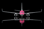 SQ Wings L2349 Japan Transocean Air Boeing 737-800 JA06RK Sakura Jinbei 1:200, image 7