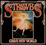 Strawbs Grave New World vinyl record cover